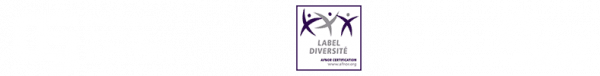 Logo CEJ, Label Diversité et EQUIS