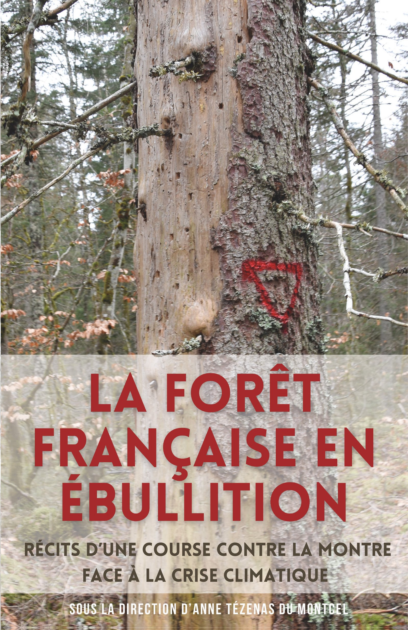 1ere couverture livre 2024